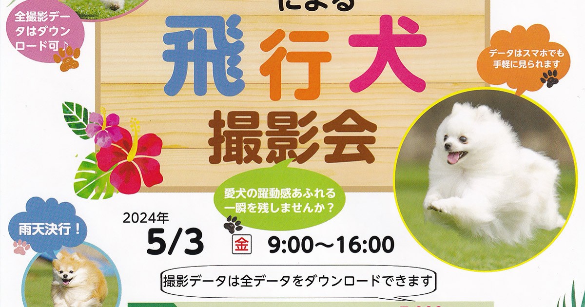 愛犬サンプル写真 飛行犬®撮影会 – ヒルホテル サンピア伊賀（公式）